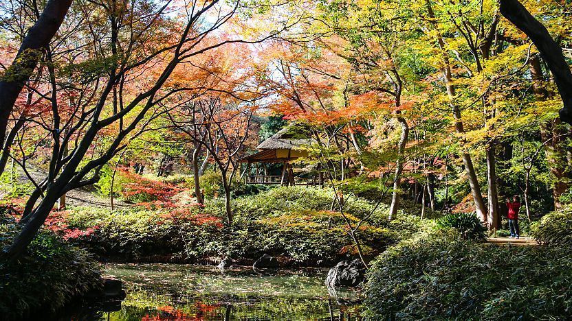 Tokyo Travel Rikugien Garden