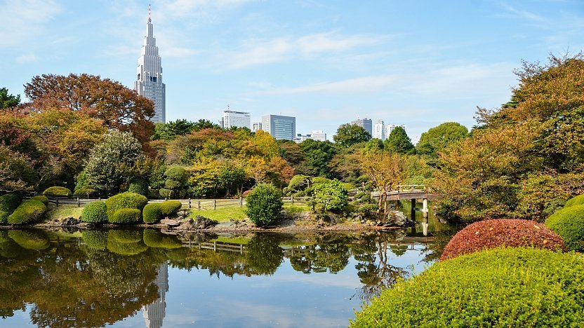 Resultado de imagen de shinjuku gyoen