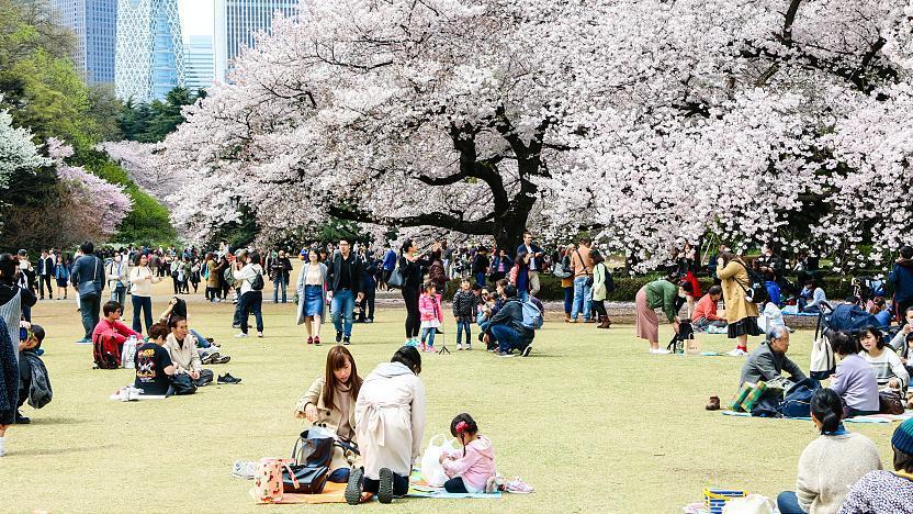 Shinjuku Gyoen Tokyo Travel