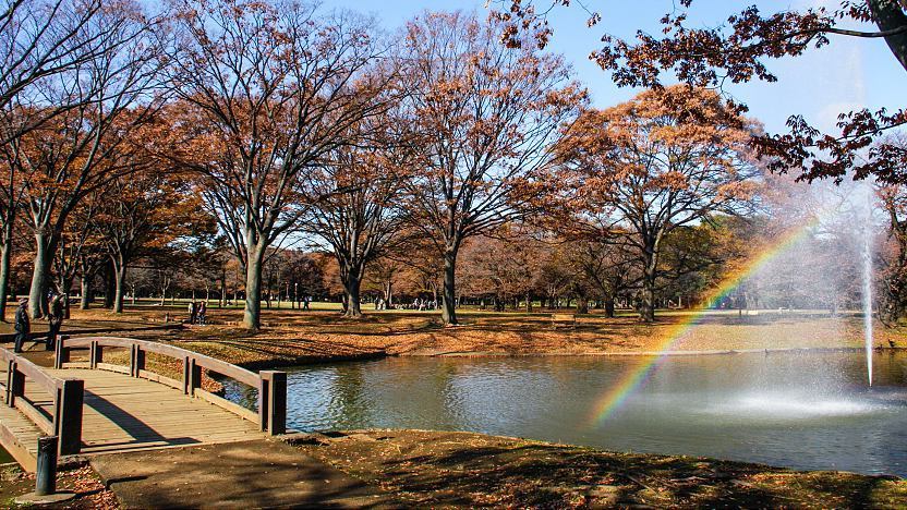 Tokyo Travel: Yoyogi Koen (Yoyogi Park)