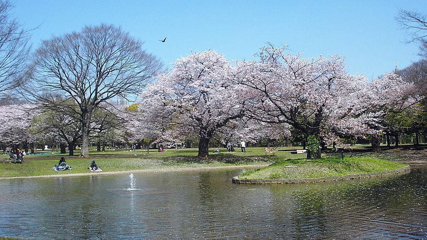 Yoyogi Park (Yoyogi Koen) - Tokyo Travel