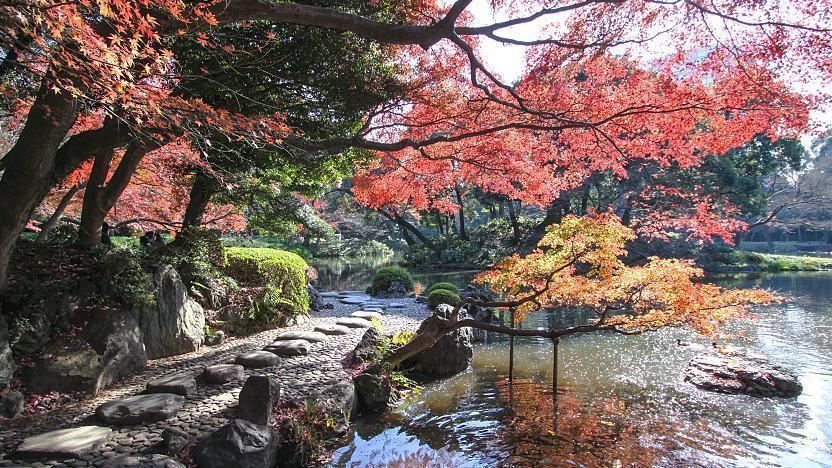 Koishikawa Korakuen - Tokyo Travel