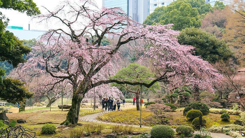 Koishikawa Korakuen