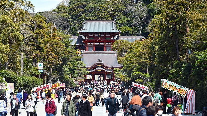 Tsurugaoka Hachimangu Shrine - Kamakura Travel