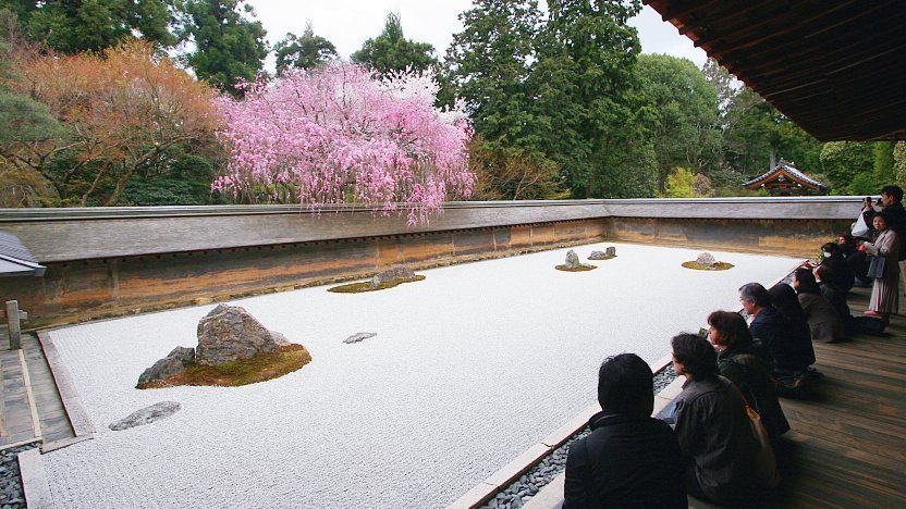 Image result for Ryoanji Temple Sakura