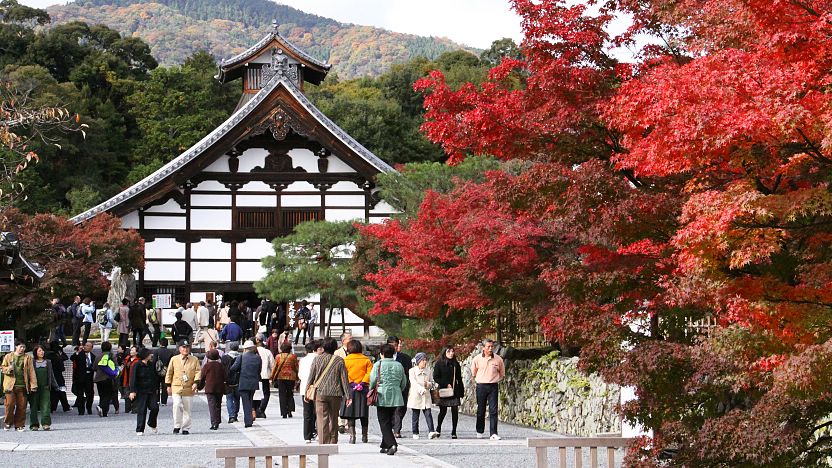 Khuôn viên của Đền Tenryu-ji nằm cạnh lối vào rừng tre, chính điều này giúp cho nơi đây trở thành điểm dừng chân tuyệt vời tiếp theo sau khi bạn chiêm ngưỡng nguồn ánh sáng ngọc lục bảo của khu rừng. 