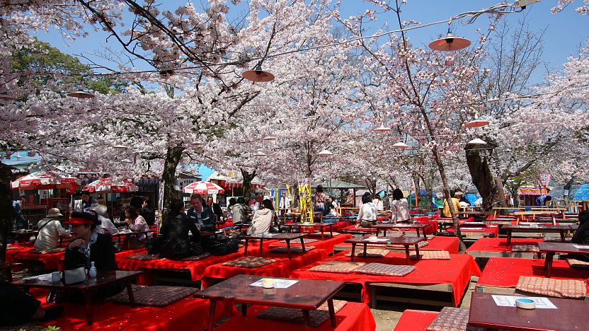 Maruyama Park (Maruyama Koen) - Kyoto Travel