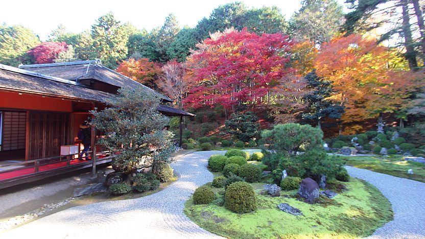 Kyoto Travel Manshuin Temple