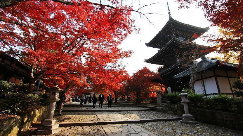 kyoto temple