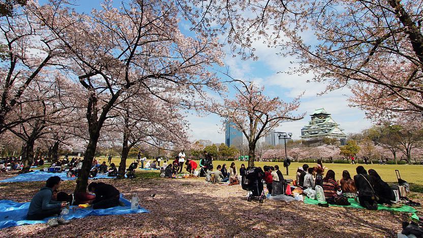 Osaka Travel Osaka Castle Osakajo