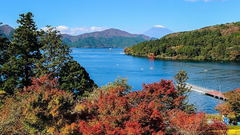 lake ashi cruise ticket