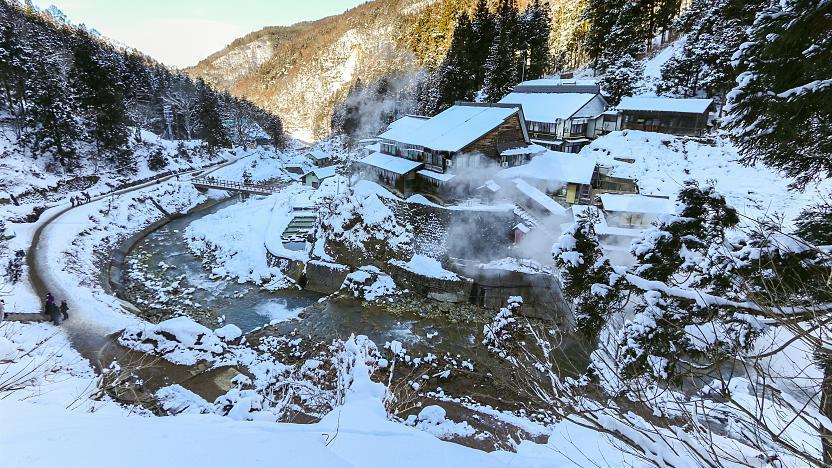 Jigokudani Monkey Park (Snow Monkeys) - Yamanouchi Travel