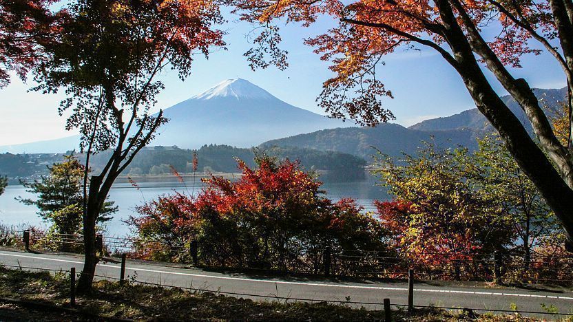 mt fuji lake kawaguchi tour