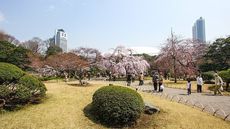 koishikawa