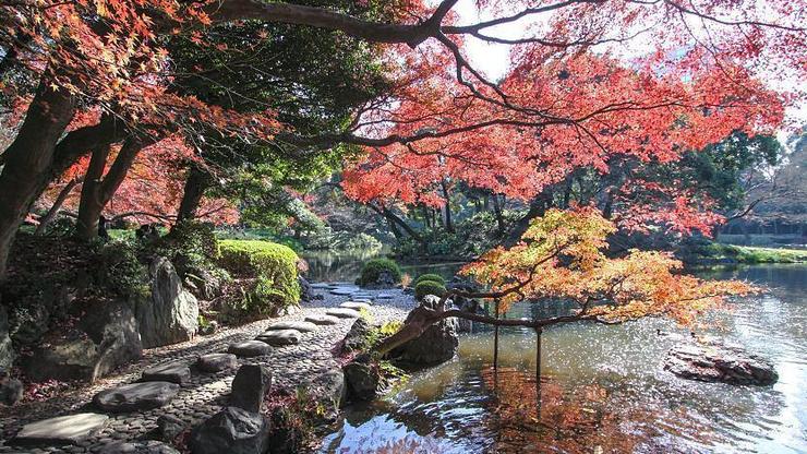 Koishikawa Korakuen - Tokyo Travel