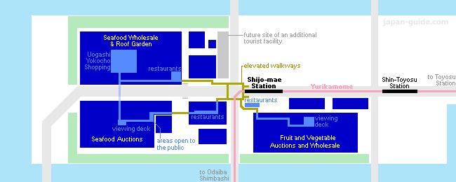 Mercado Toyosu: Subastas de pescado - Isla de Odaiba - Tokio - Foro Japón y Corea