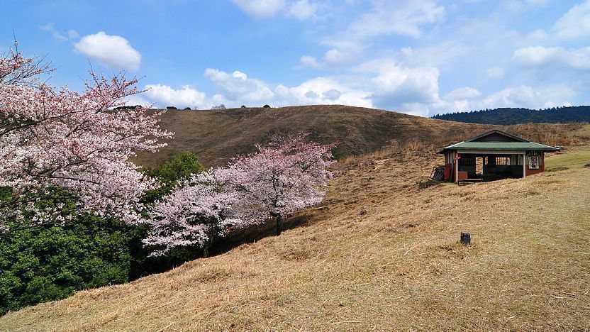 Nara Travel: Mount Wakakusayama