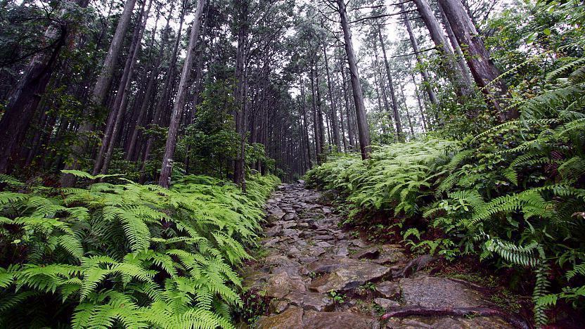 kumano kodo trek japan