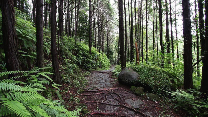 kumano kodo trek japan