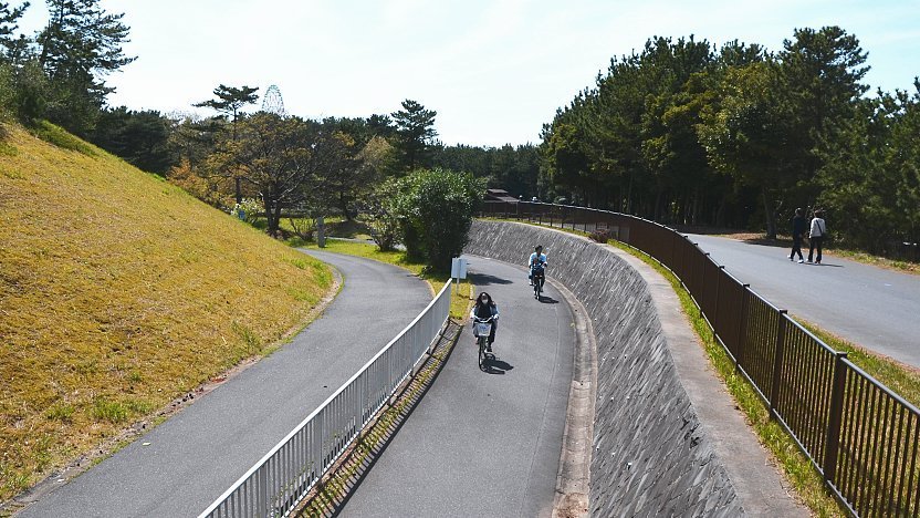 hitachi seaside park tour