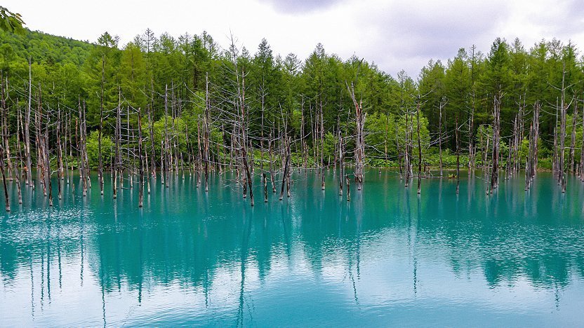 Furano Travel: Blue Pond (Aoiike)
