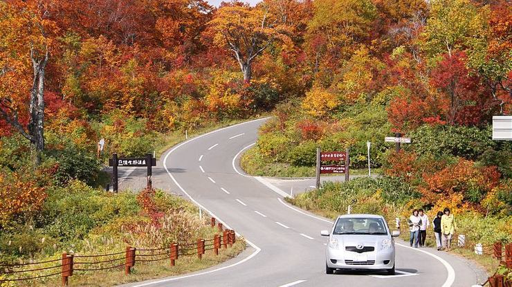 Car Rental in Japan