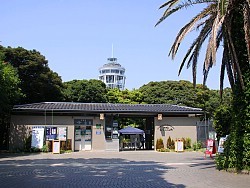 yacht harbor japan