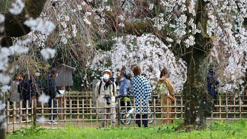 travel discount in japan