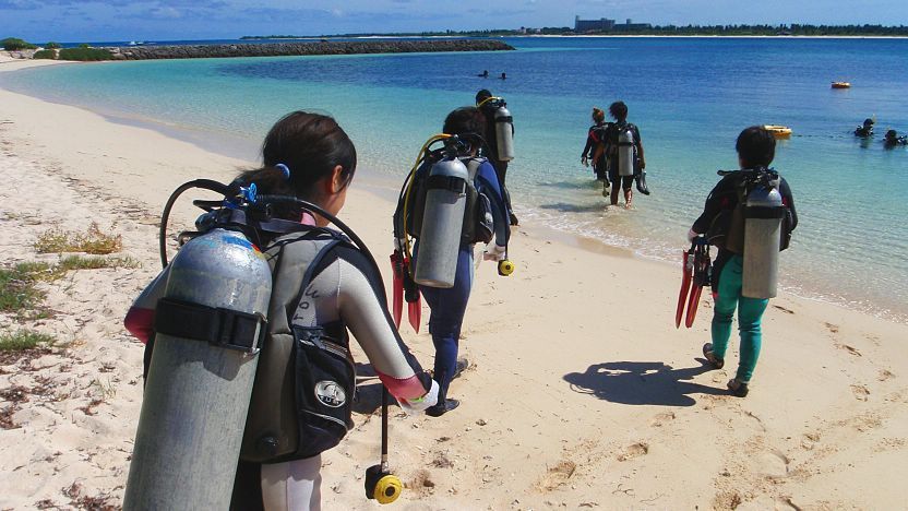 Parat jordnødder Samler blade Scuba Diving in Japan