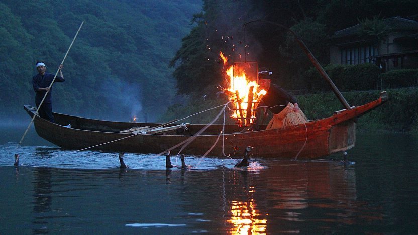 Cormorant Fishing (Ukai)