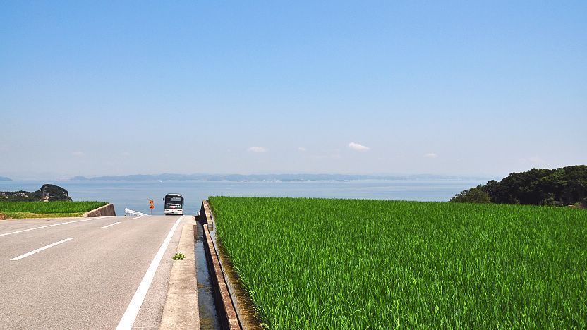 tsushima island tourism