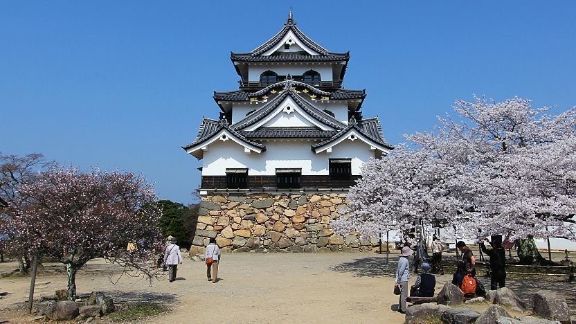 Hikone Travel Hikone Castle