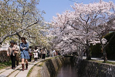 tourist map of kyoto japan