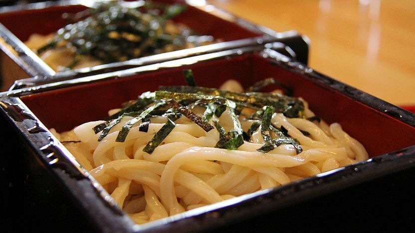 Udon Noodles