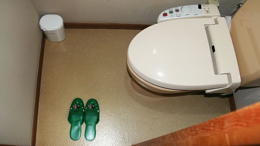 toilet slippers