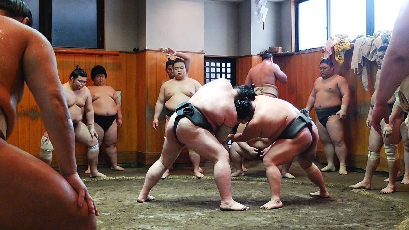 The Structure of Sumo Wrestling