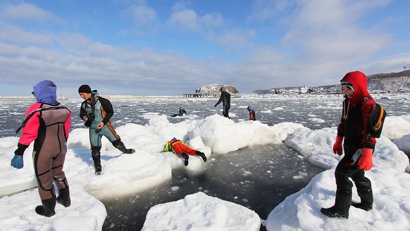 Drift Ice (Ryuhyo) in Japan