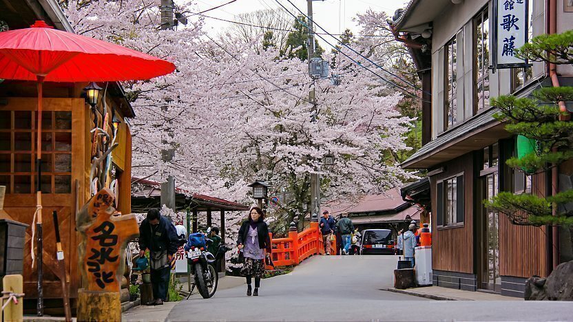 Mount Yoshinoyama (Yoshinoyama Cherry Blossoms) - Yoshino Travel