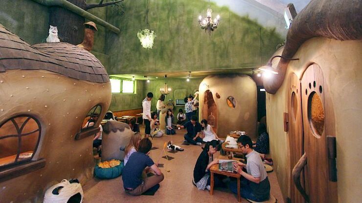Cat Cafes Neko Cafes In Japan cat-cafes-neko-cafes-in-japan
