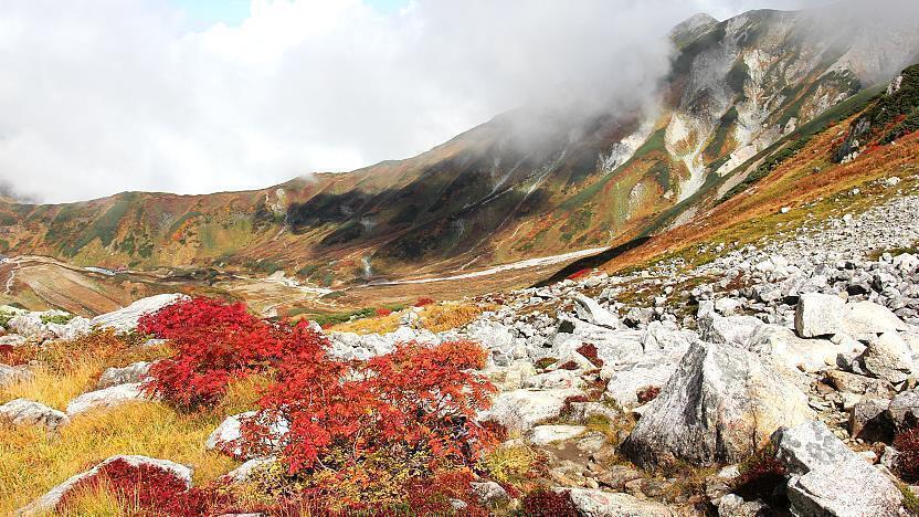 japan alps tour