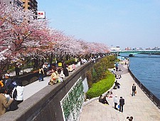 tokyo tourist street