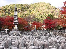 arashiyama bamboo grove visit