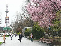 Odori Park