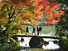 japan places to visit in autumn