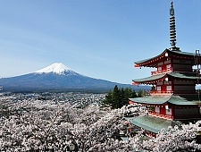 tourist spot in mt fuji