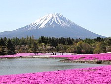 tourist spot in mt fuji