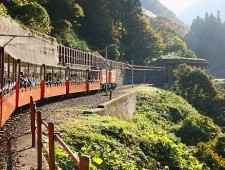 scenic cruises in japan