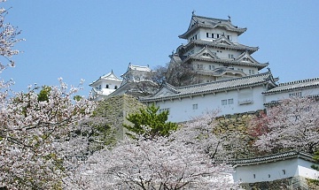 ms tourist kansai