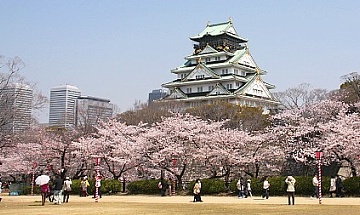 ms tourist kansai