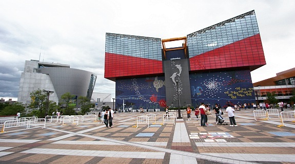 Káº¿t quáº£ hÃ¬nh áº£nh cho Osaka Kaiyukan Aquarium